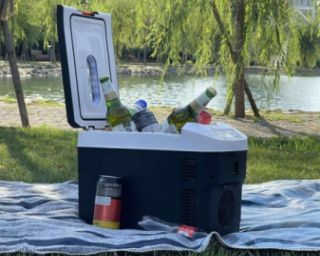 10 ლიტრიანი მინი მაცივარი