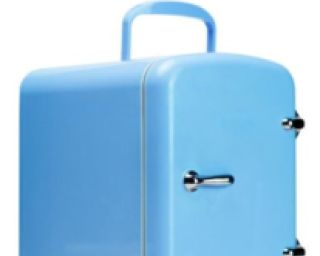 Freeza მინი მაცივარი