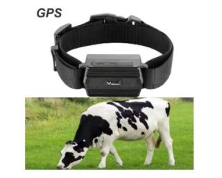 GPS ტრეკერი ჯიპიესი ჯიპიეს მოწყობილობა