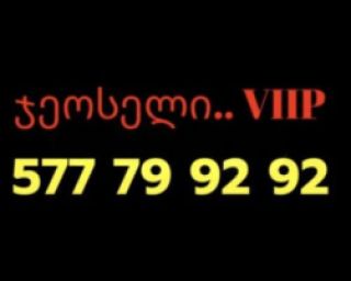 ოქროს ნომერი,ჯეოსელის ნომერი